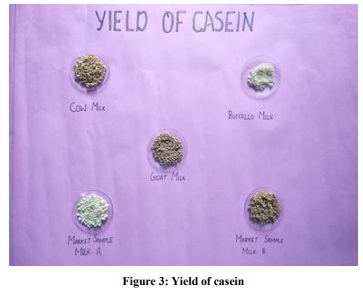 Yield of casein